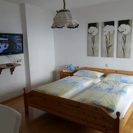 Hotel Alpina 3*