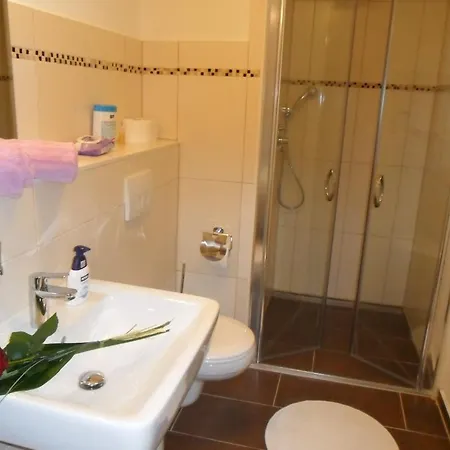 Hotel Alpina 3*